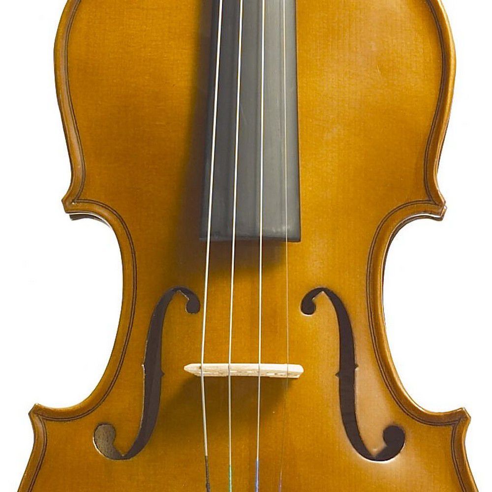 ステンター STENTOR バイオリン 1/16 ヴァイオリン-connectedremag.com