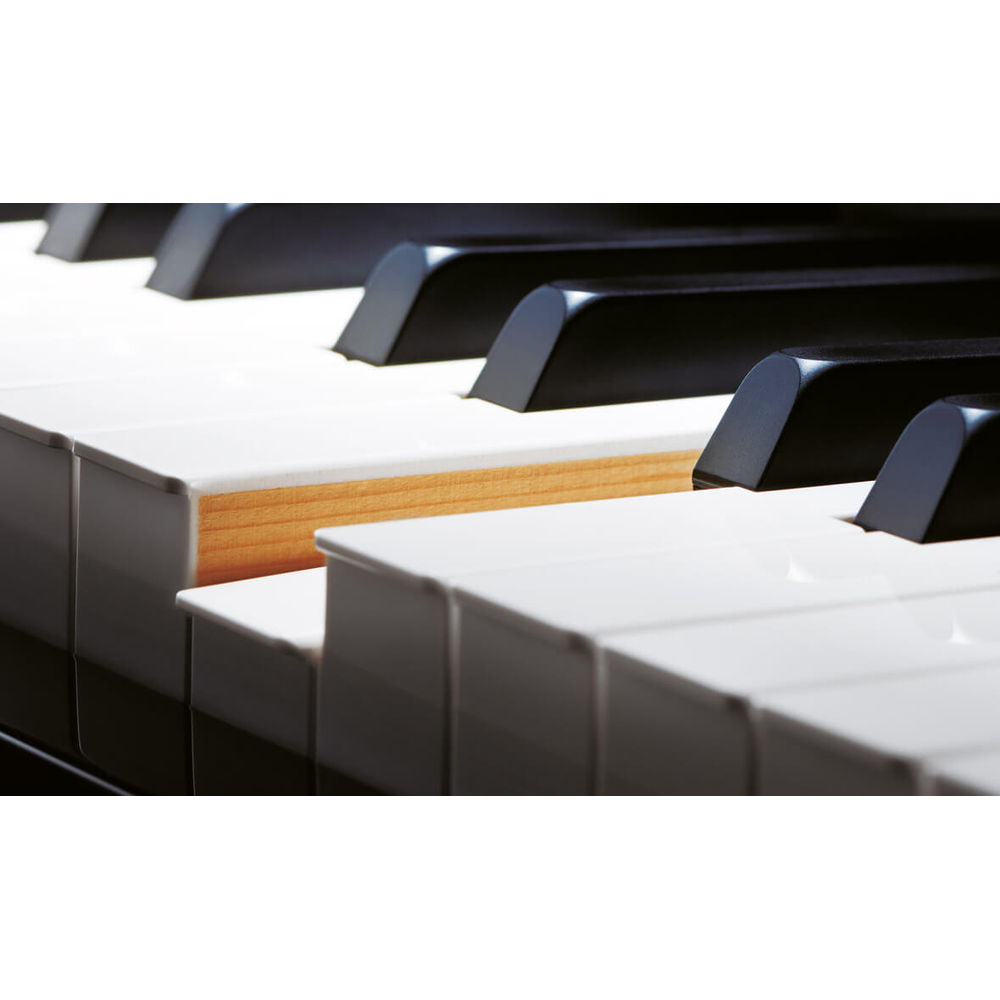 galería Pekkadillo Halar Casio GP-500 Celviano Grand Hybrid Digital Piano | PMT Online