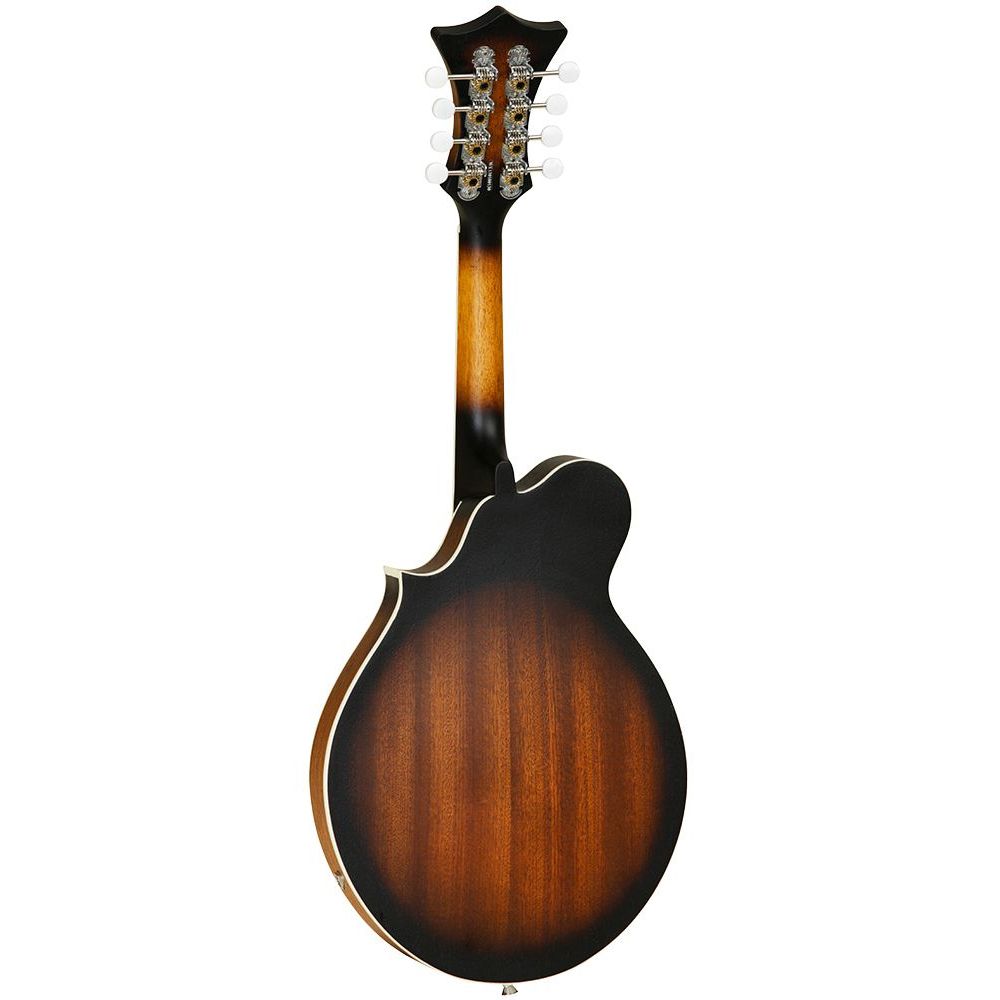 tanglewood electro acoustic mandolin